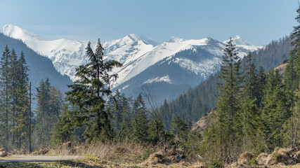 Fototapeta premium Panorama of the Polish Tatras