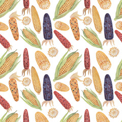 Corn cob grain leaves. hand-drawn watercolor illustration. Print textile matern seamless vintage retro sketch. Agriculture farm harvest