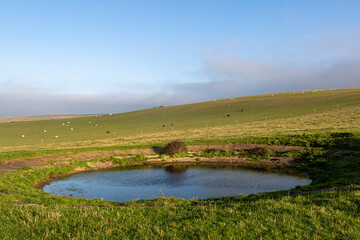 A Dew Pond in the Sussex Countryside