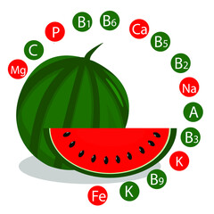 vector watermelon illustration showing the vitamins and minerals contained in watermelon. The concept of proper and healthy nutrition.