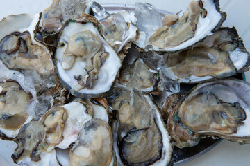 Fresh raw open oysters