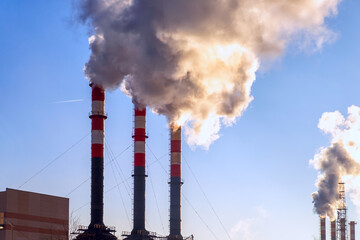 The smoke from the pipe of the plant, the emission of harmful gases into the atmosphere, greenhouse effect