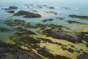 rocks on the beach