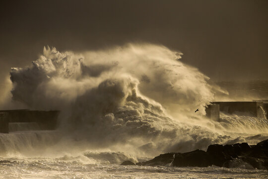 big wave during a storm in Porto, Portugal