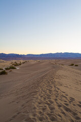 Fototapeta na wymiar Footprints in sand dunes in Death Valley National Park at sunrise.