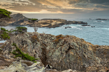Cypress tree on a rocky point viewed from the Cypress grove trail in Point Lobos State Park on central coast of California.