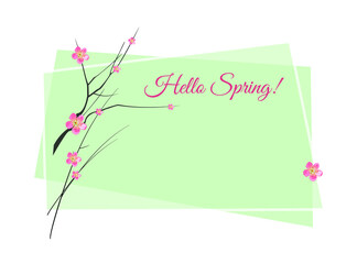 Spring vector drawing with branches of blossoming sakura, the inscription  Hello Spring and a place for your text. 