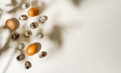 .Natural organic quail and chicken eggs on a trendy beige background photographed with hard lights and shadows in shape of leaves. Minimalistic frame, easter concept. Top view, Banner with copy space