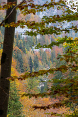 Couleurs d'automne sur le Doubs, à Villers-le-lac, en Franche-Comté, à la frontière entre la France et la Suisse