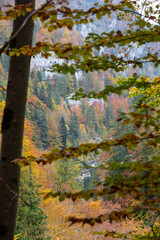 Couleurs d'automne sur le Doubs, à Villers-le-lac, en Franche-Comté, à la frontière entre la...