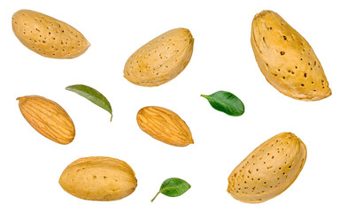 Almonds isolated on a white background, top view