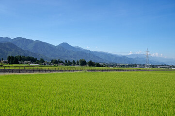 安曇野の田園風景