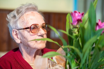 Elderly woman taking care of flowers at home