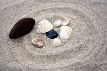 Sea round stones and seashells on the fine sand. Selective focus.