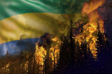 Forest fire fight concept, natural disaster - flaming fire in the woods on Gabon flag background - 3D illustration of nature