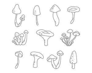 Doodle mushrooms on white background. Vector illustration