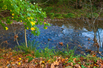 Río Agüera, Tramo alto alrededor de Agüera, Cantabria