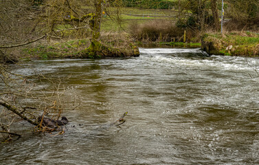 mill pond on the river avon