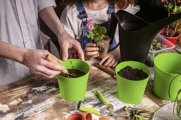 Nice hands of caucasian mother and daughter are preparing soil to plant a pink flower. Family gardening at home. Happy childhood. Close-up.