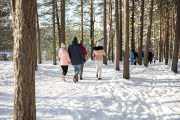 Fototapeta na wymiar group of people walking in winter forest. Healthy lifestyle.