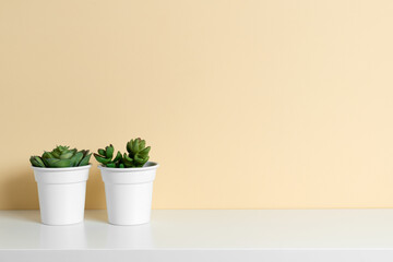 Flowers on a table or shelf, on a beautiful beige background. Place for text.