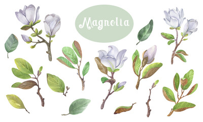 Collection of watercolor seamless patterns blooming magnolia and birds © Elena