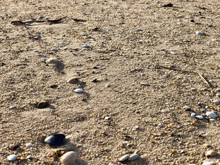 beautiful texture aspect color background view caption photo