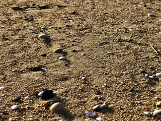 beautiful beach sea ocean sunset view caption photo