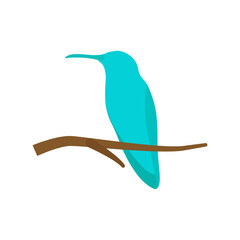 Hummingbird vector art and graphics