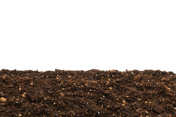 Black land for plant.