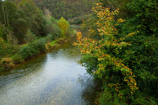 Zona salmonera, R&iacute;o Bed&oacute;n, Asturias