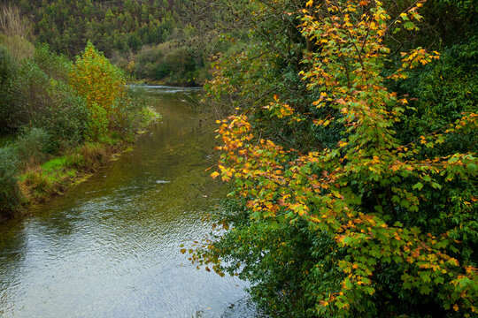 Zona salmonera, R&iacute;o Bed&oacute;n, Asturias