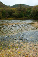 Zona salmonera, Río Bedón, Asturias