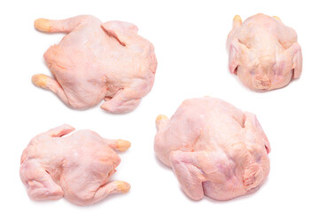 Raw chicken isolated on white background.