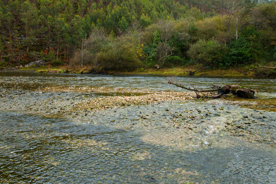 Zona salmonera, R&iacute;o Bed&oacute;n, Asturias