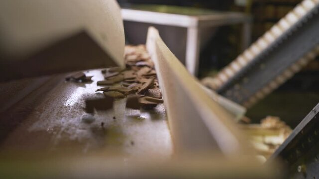 Delicious rusks in a pile. A pile of rye rusks. Bread rusks at the factory.