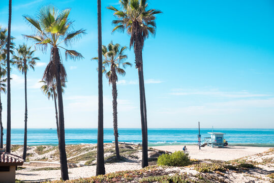 Playa del Rey Beach in Los Angeles
