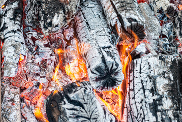 The process of burning firewood