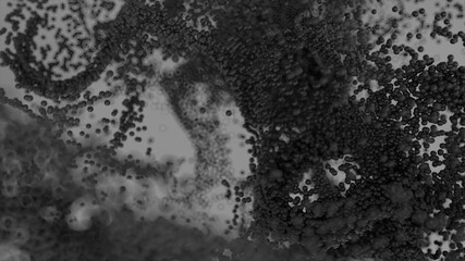 3d rendered illustration of Growing Bacteria Cells. High quality 3d illustration