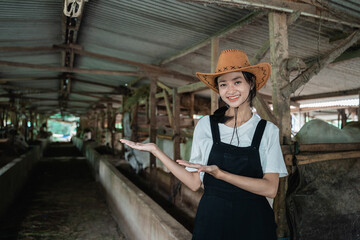 cowboy woman posing with both hands offering something while wearing a hat in a large cow stable with a cow background
