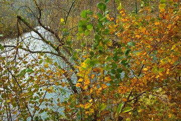 Coto salmonero El Bollu, Río Sella, Tornín, Asturias