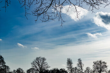 Interessanter Wolkenhimmel mit Streifen eingerahmt von Bäumen und Zweigen