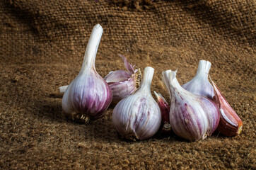 heads of garlic on burlap. Rustic style