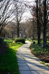 Promenade un jour ensoleillé par la Cité Internationale, quartier aisé de Lyon