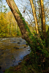 Río Piloña, Cuenca del Sella, Alrededores de Sevares, Asturias