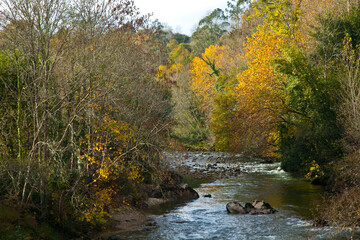 Río Piloña, Cuenca del Sella, Alrededores de Sevares, Asturias