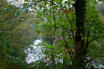 Embalse de Arbón, Río Navia, Asturias