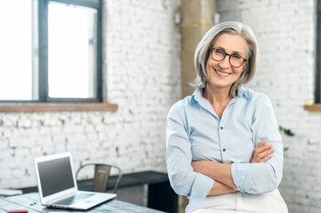 Portrait of a charming smiling elegant lady or mature gray-haired positive businesswoman, standing...