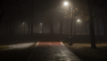 lantern lights on the road in the forest in the fog
