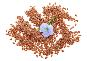 Dried seeds of flax with flax flower isolated on a white background